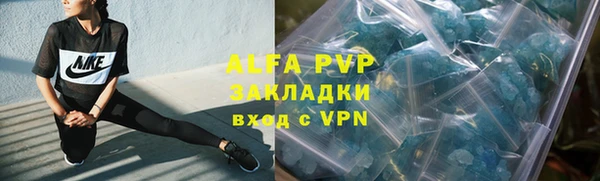 СК Верея