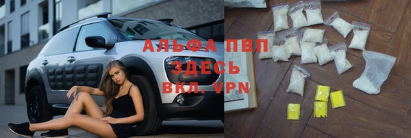 СК Верея